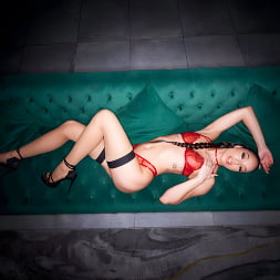Alexis Tae en 'Rickys Room' Atado por amor (Miniatura 7)