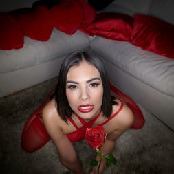 Violet Starr in 'Rickys Room' Valentines Day Treat (Thumbnail 6)